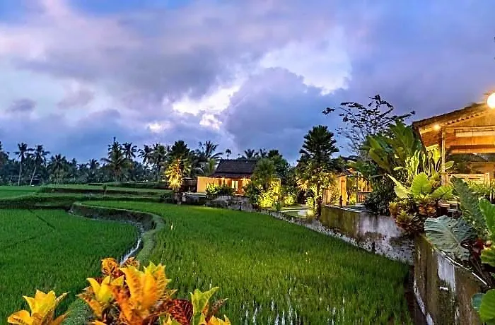 Taksu Sebatu 4*