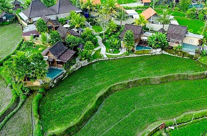 Taksu Sebatu Otel 4*