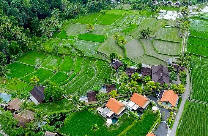 Taksu Sebatu 4* Sebatu (Bali)